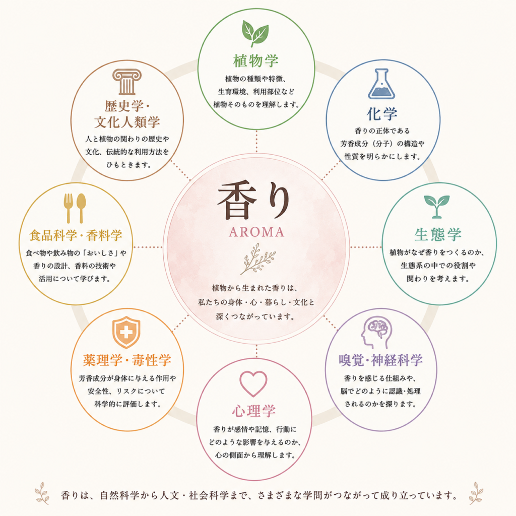 香りと植物学・化学・生態学・嗅覚神経科学・心理学・薬理学・毒性学・歴史学・文化人類学・食品科学・香料学の関係図